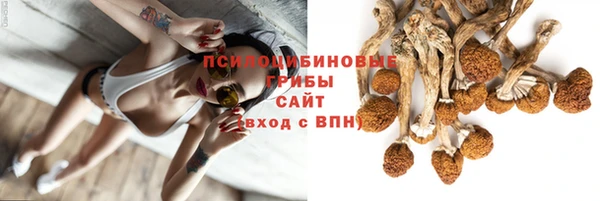 бутират Осинники