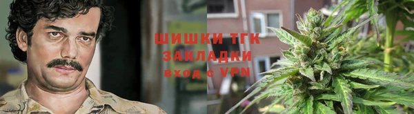спиды Няндома
