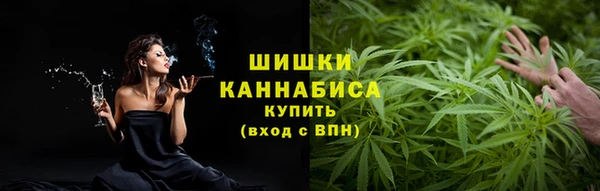 крисы Вязьма