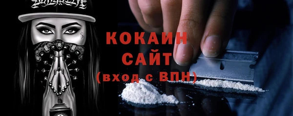 спиды Няндома
