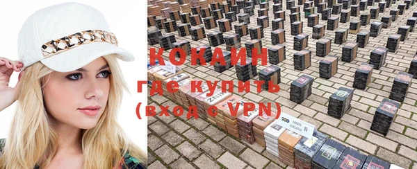 спиды Няндома