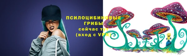 бутират Осинники