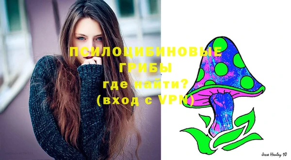 спиды Няндома