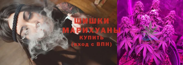 спиды Няндома